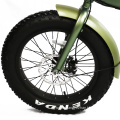 Popular Foldable Fat Tire Aluminum Alloy Frame Electric Bike